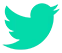 Twitter Marketing Icon